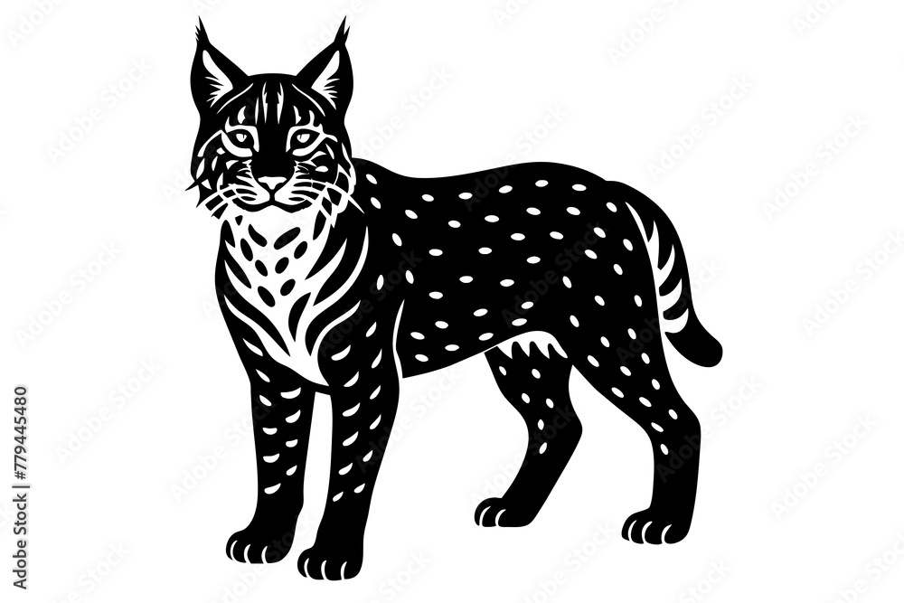 Wall mural bobcat silhouette vector illustration