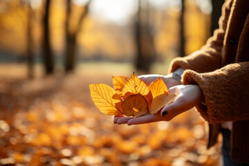 Autumn Leaves in Woman's Hands Amidst Fall Foliage