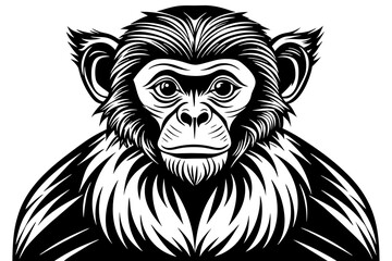 capuchin monkey silhouette vector illustration