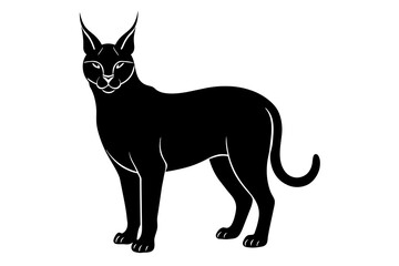 caracal silhouette vector illustration