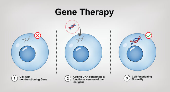 Gene Therapy - correcting the underlying genetic problem Vector Illustration
