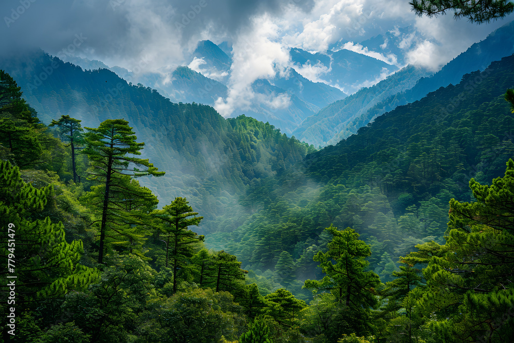 Poster sunlight filters through the clouds over a dense, green mountainous forest, creating a tranquil and 