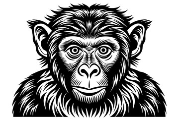 macaque silhouette vector illustration