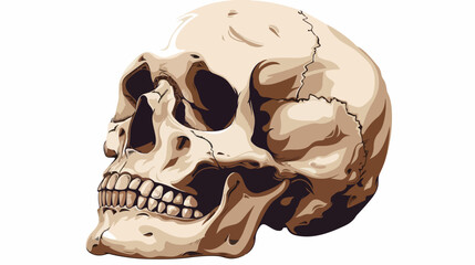 Human Scary Skull Locally Deformed in Rich colors in t
