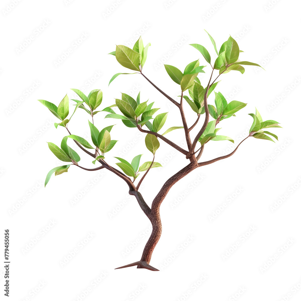 Poster a close up of a small tree with green leaves on a transparent background