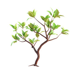 A close up of a small tree with green leaves on a Transparent Background