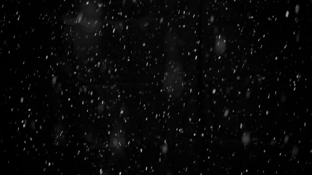 Snow on black background, falling snowflakes, snowing, natural snowfall backdrop for overlay effect.
