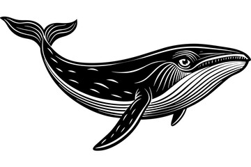 whale silhouette vector illustration