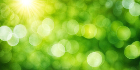 Sunny green foliage bokeh background