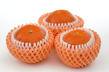 みかん　セミノール　和歌山県由良産　