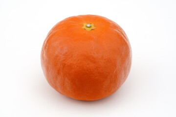 みかん　セミノール　和歌山県由良産　