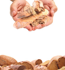 Bread in hands isolated
