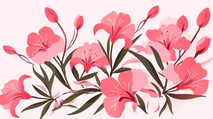 pink lily flowers