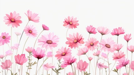 Obraz na płótnie Canvas pink and white tulips