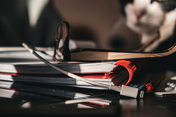 Work from home. 
Notebook, glasses, and a cat figure in the background 