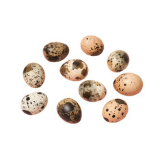 Close up of speckled eggs on Transparent Background