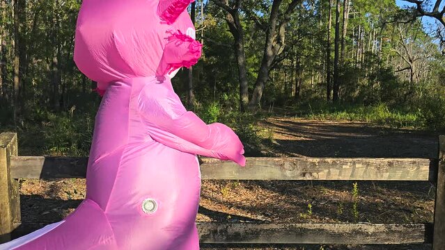 Inflatable axolotl walking up to and leaning forward on split rail fence looking towards forest before walking away.