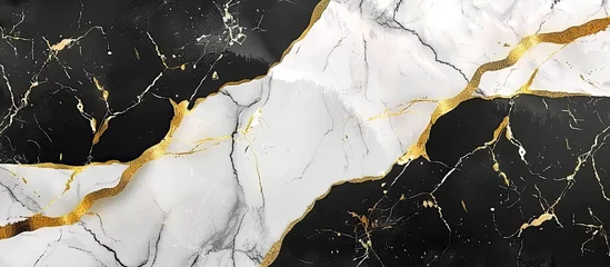  A sleek black and white marble texture with a luxurious gold border, reminiscent of a elegant landscape under a snowy slope © AkuAku