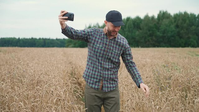 Countryside, farmer standing in a field of rye and takes selfie pictures on a smartphone, investigating plants.