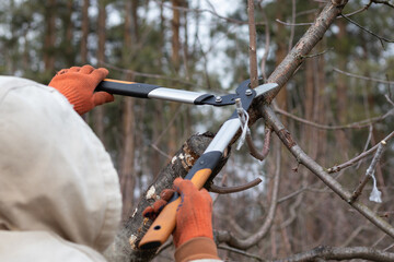 Man pruning trees in the garden. Spring. Close up view.