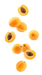 Falling apricot isolated on white background, full depth of field