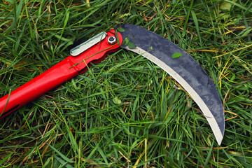 The vibrant green grass with manual small scythe. Gardening with sharp razor tool. - 779481671