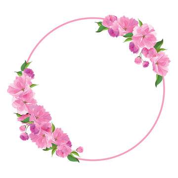 Vector wreath of sakura. Round frame with branches of cherry blossoms. Pink fluffy Sato-zakura flowers on a white background. Composition for a wedding invitation, congratulations on Mother's Day.