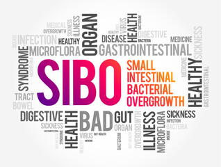 SIBO - Small Intestinal Bacterial Overgrowth is an imbalance of the microorganisms in your gut that maintain healthy digestion, word cloud concept background
