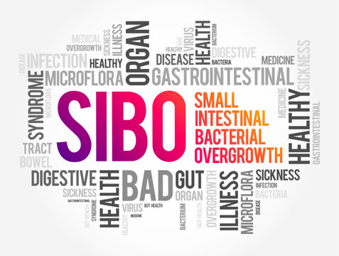 SIBO - Small Intestinal Bacterial Overgrowth is an imbalance of the microorganisms in your gut that maintain healthy digestion, word cloud concept background