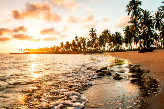 Mexico, Sinaloa, Sun setting over coastal palm trees