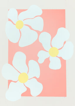 White flowers over colored background