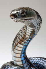 titanium snake close-up