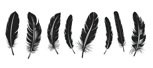 Feather icons. Set of black feather icons isolated on white background - obrazy, fototapety, plakaty