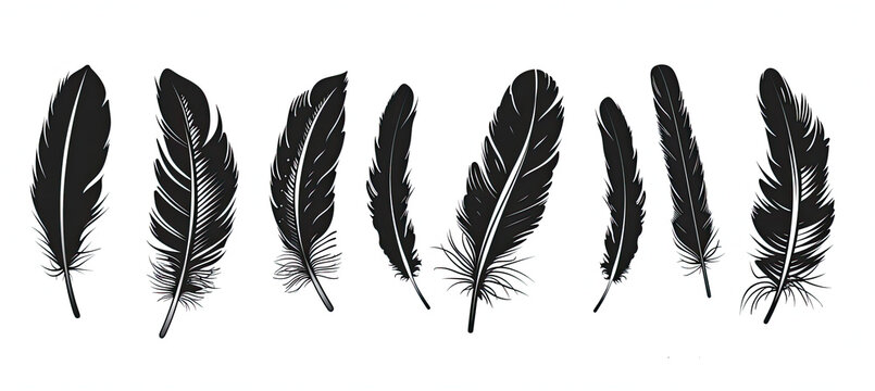 Feather icons. Set of black feather icons isolated on white background