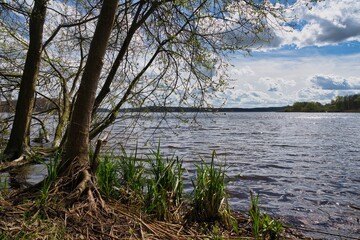 Obraz premium Schleswig-Holstein Frühling Natur