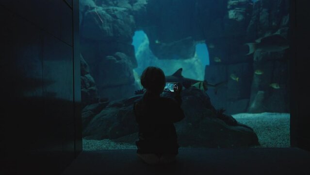 Rear view on girl watching fish in giant aquarium and shooting video on smartphone camera. Kid take picture of shark in oceanarium using mobile phone