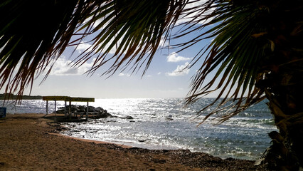 Beach and palms on Mediterranean Sea coast. Cyprus