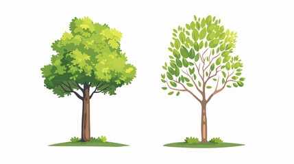 Tree plant natural icon flat vector isolated on white