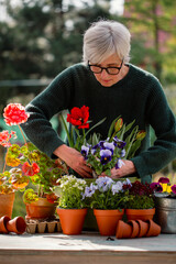 Older woman planting flowers into pots