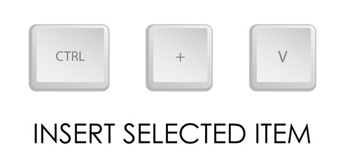 Insert key combination. Keyboard shortcut for quickly executing command in operating system. Isolated vector on white background