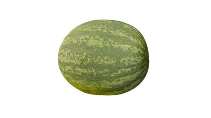 a watermelon with a white background