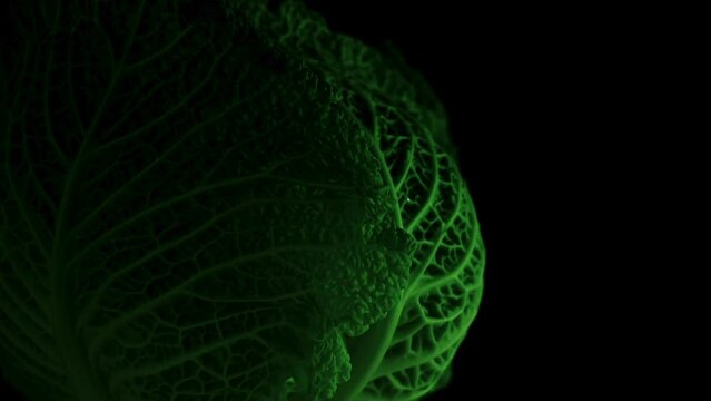 The rotating perspective of delicious green cabbage leaves, showcases the plant's textures against a black backdrop, symbolizing the essence of nutritious eating and nourishment. HDR, 4K.
