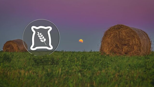 Farmlands produce needed grain crops - nighttime time lapse with bag of wheat graphic