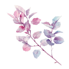Fototapeta premium Close up of vibrant plant with pink and purple leaves