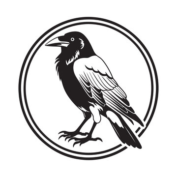 Raven Image Vector, Illustration Of Raven