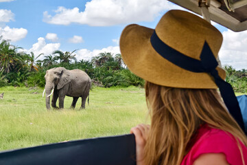 Safari holiday. Wildlife photography in Kenya, Tanzania. Blond woman watching african elephants from roof of a safari car. Family on safari holiday in Amboseli national park.