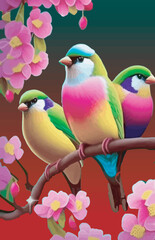 nice colorful birds vector illustrationn