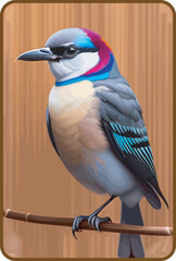 nice colorful birds vector illustrationn