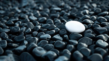 Fototapeta na wymiar Single white stone standing out among many black pebbles. Individuality 