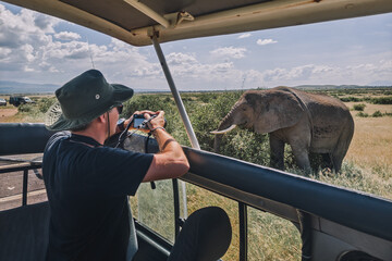 tourist photographs a wild leopard during a safari tour in Kenya and Tanzania. Concept Travel and...